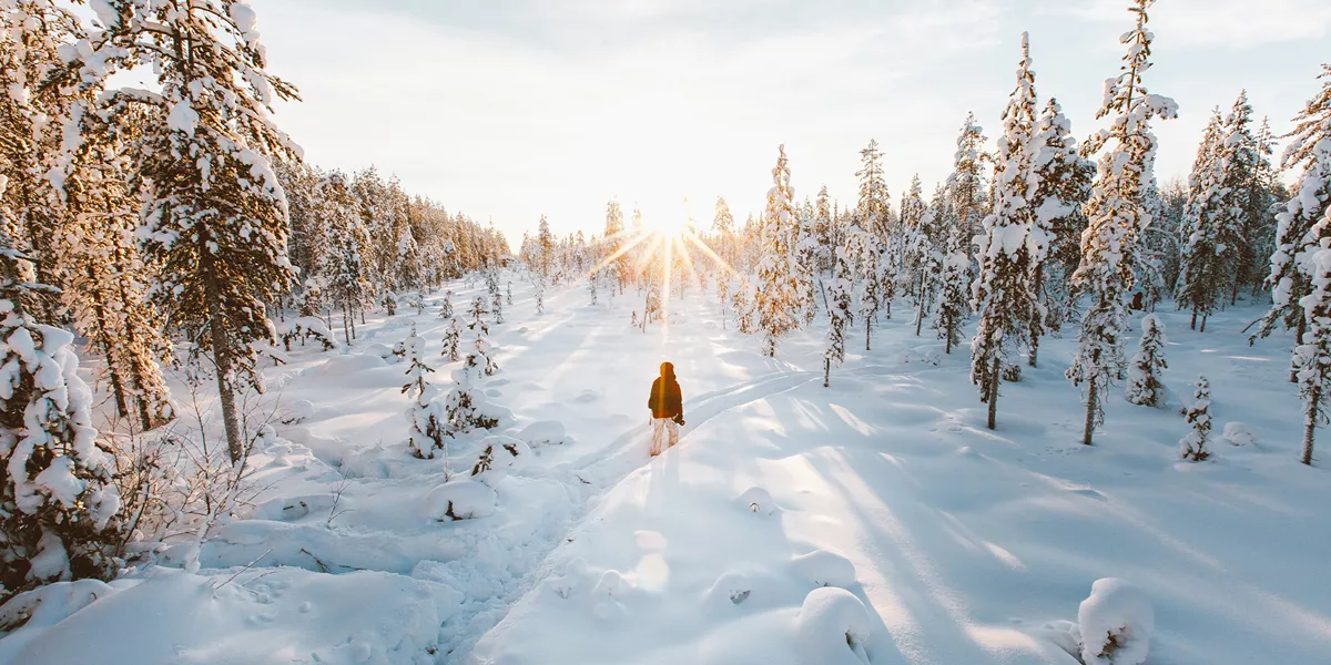 A person walking through a snowy forest in Finland