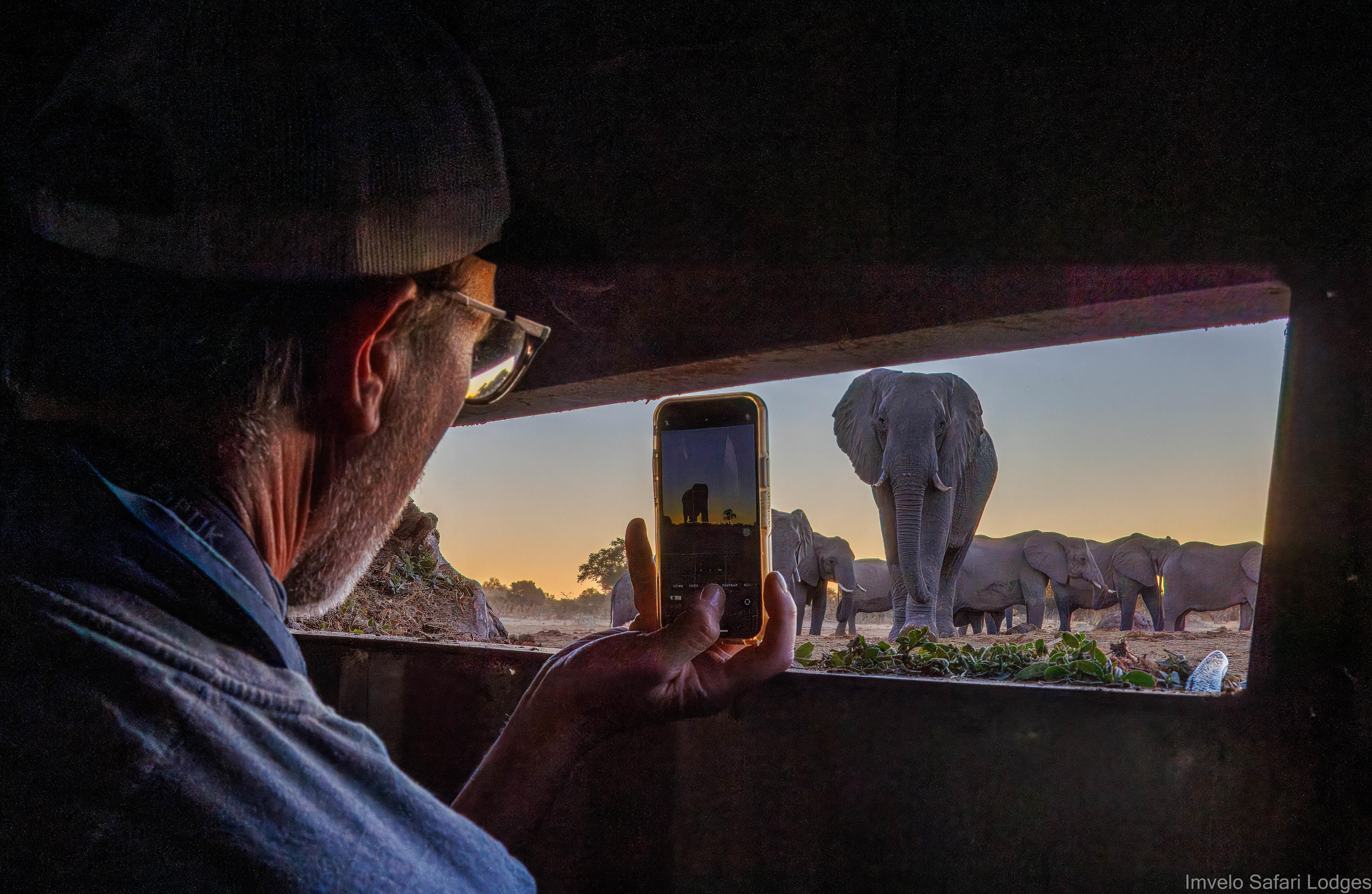 View from a hide looking out to a waterhole with elephants