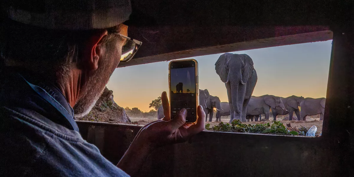 View from a hide looking out to a waterhole with elephants