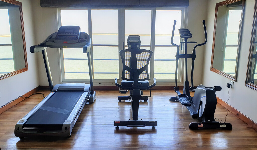 Medium RGB LEX Ship Charaidew II Interior Fitness Center 113415