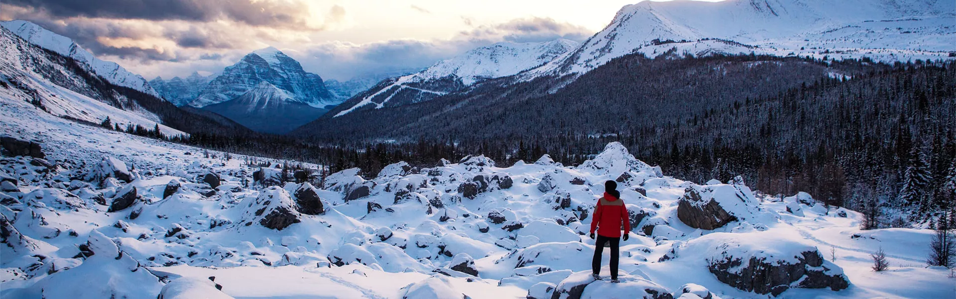Person in snowy landscape with mountains and forest in the background