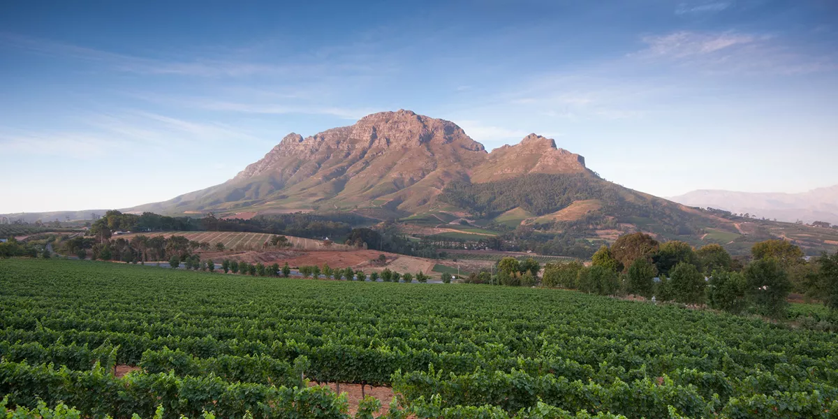 South Africa Stellenbosch