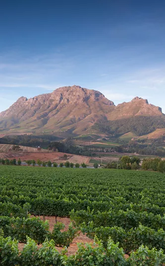 South Africa Stellenbosch