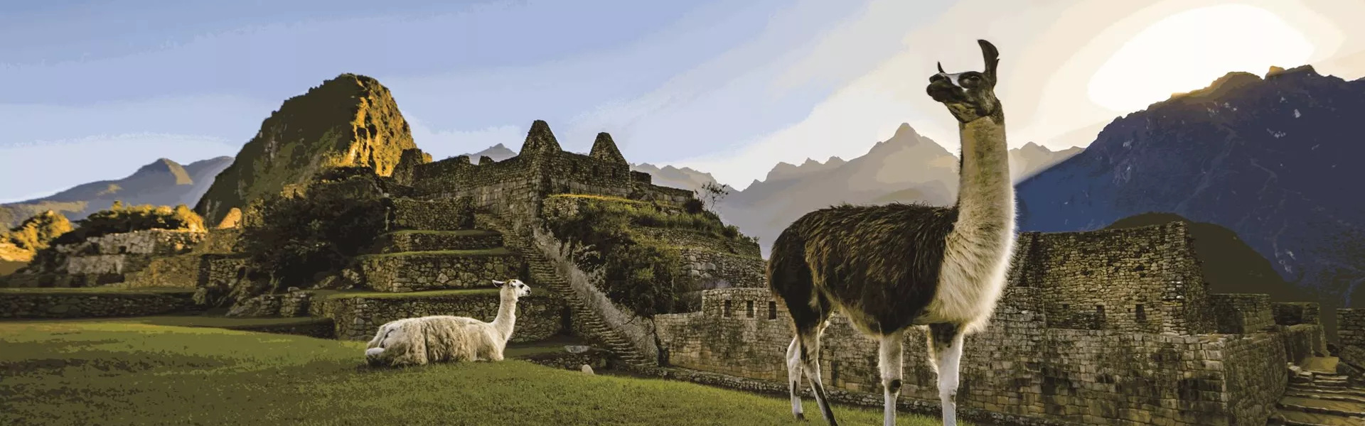 Two llamas standing on the grass in front of ancient buildings