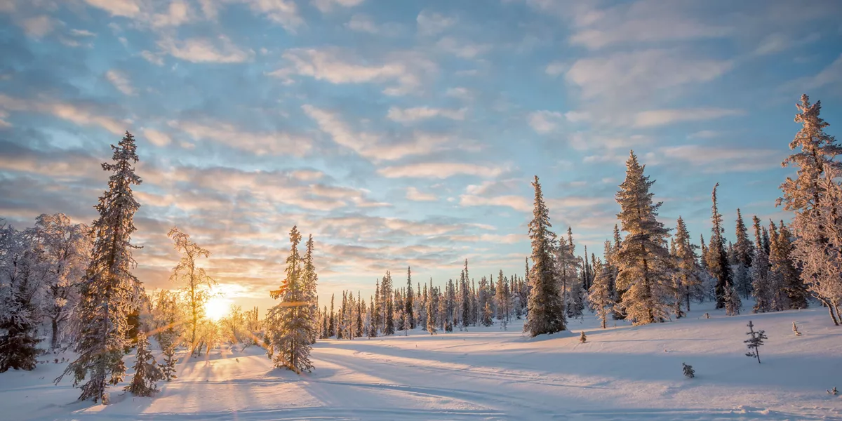 The sun is setting over a snow covered forest in Finland