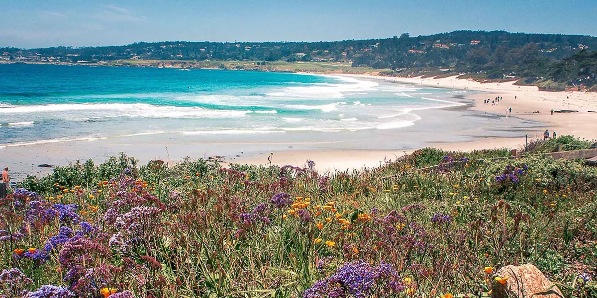 Beach with flowers