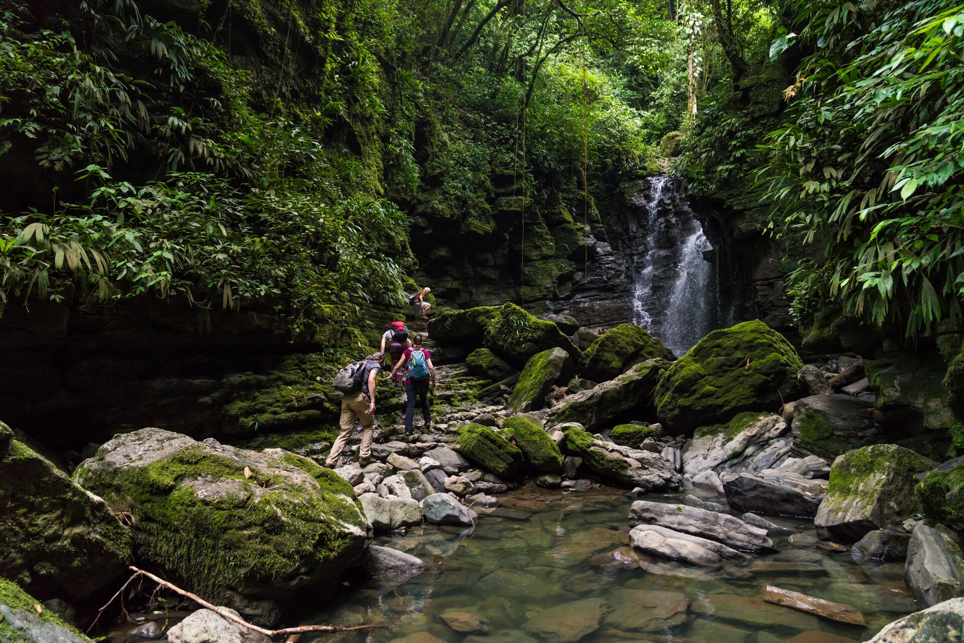 Hikers in the amazon rainforest alongside a waterfall