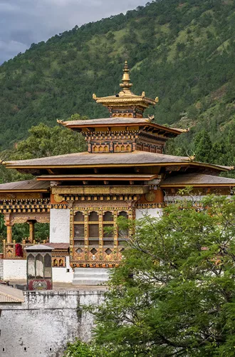 Traditional building within a forest