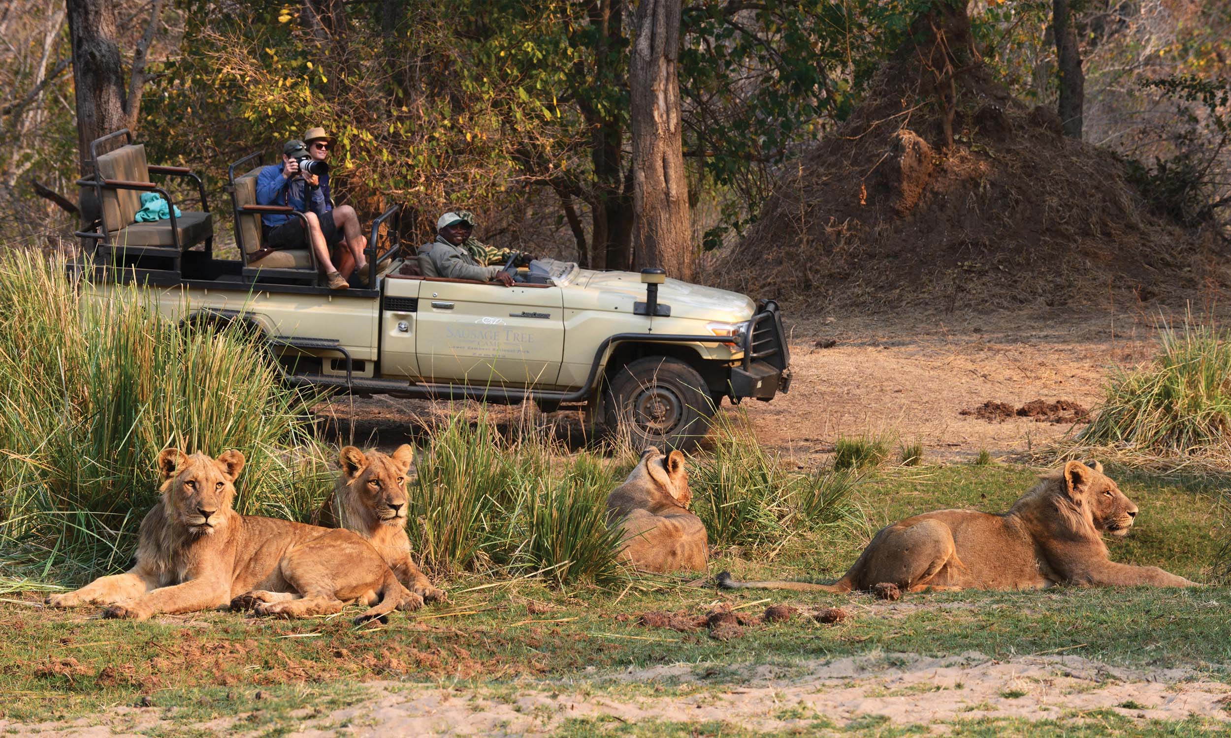 Zambia Sausage Tree Camp
