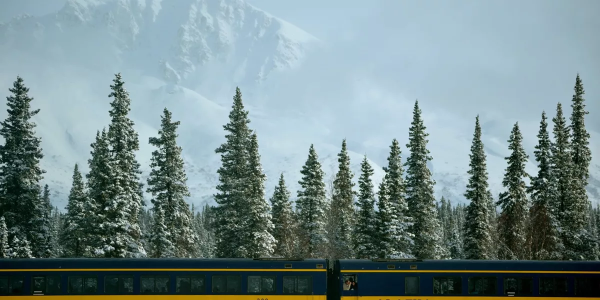 A train traveling through a snow covered forest