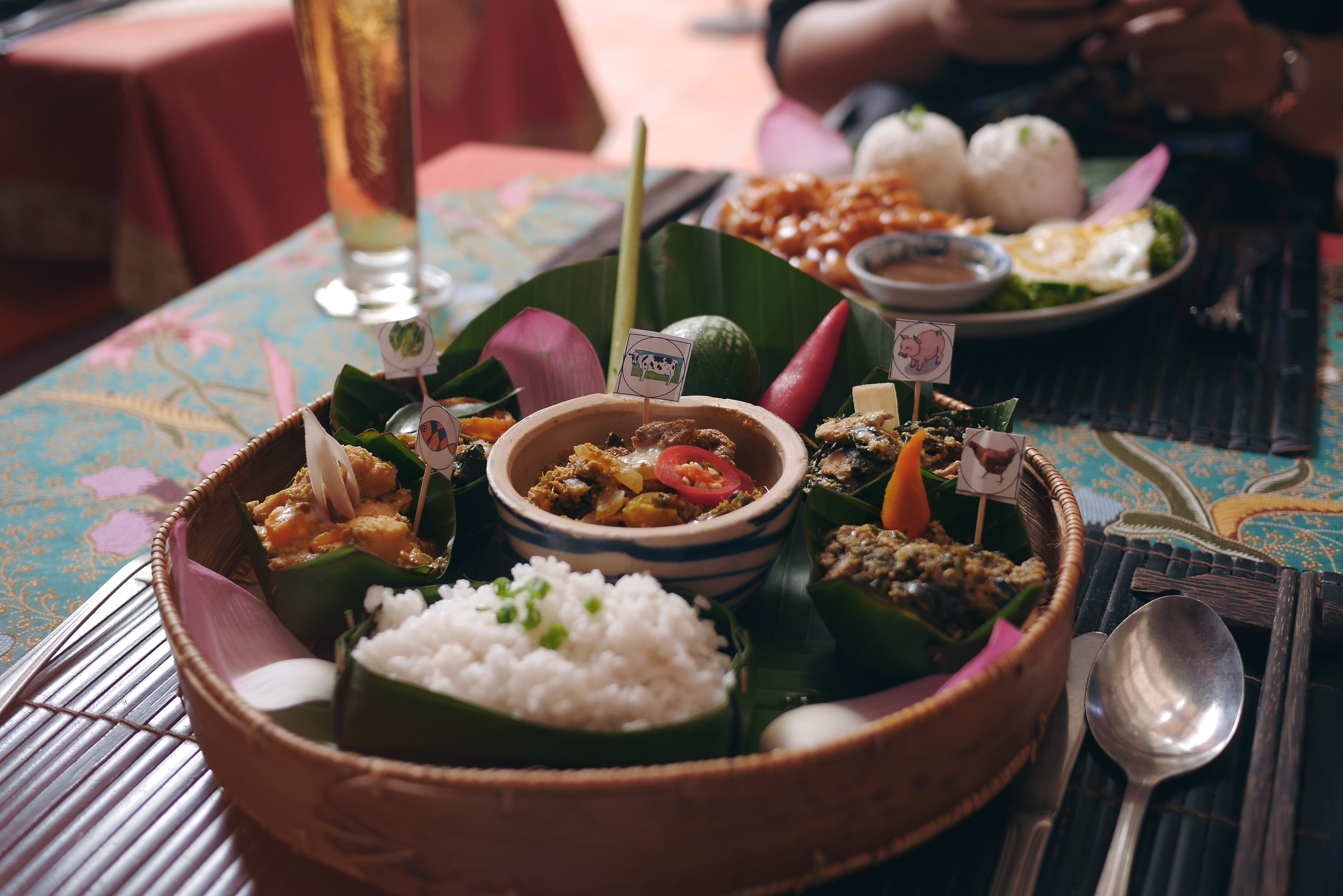 Two plates with Asian food including rice, pork, beef, fish, vegatables