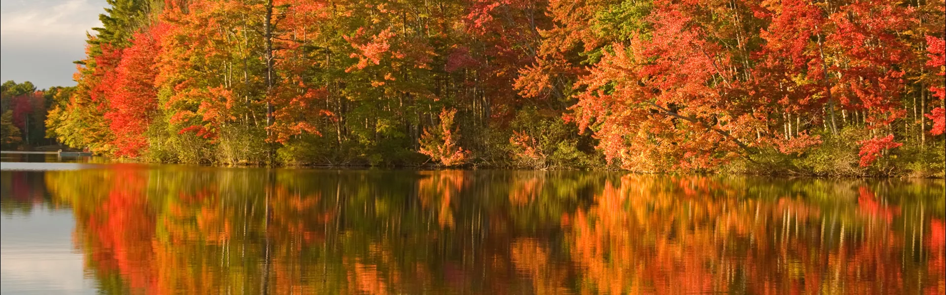 Fall foliage in New England