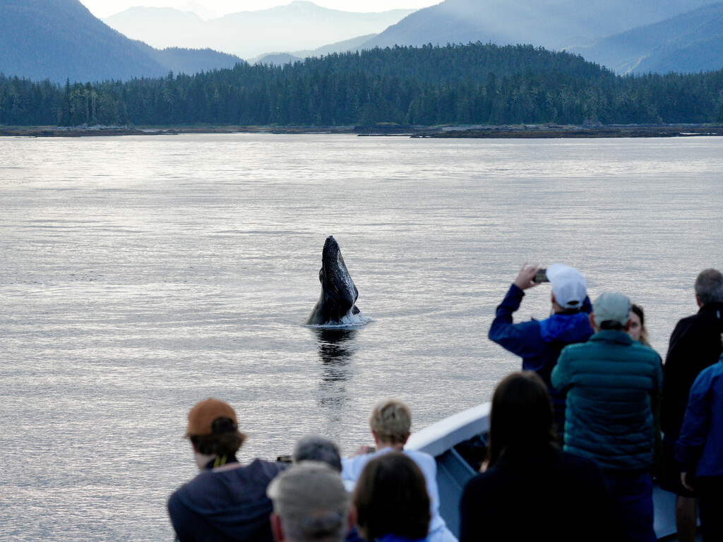 Medium RGB LEX US Alaska Ship NG Quest Exterior JJQTIMG5