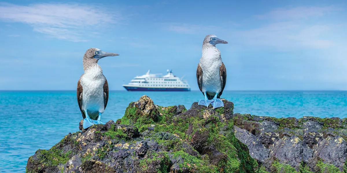 Medium RGB LEX Ecuador Galapagos Islands Ship NG Endeavor II Exterior AJ GALA19