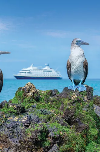 Medium RGB LEX Ecuador Galapagos Islands Ship NG Endeavor II Exterior AJ GALA19