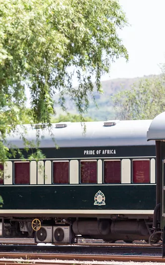 Train