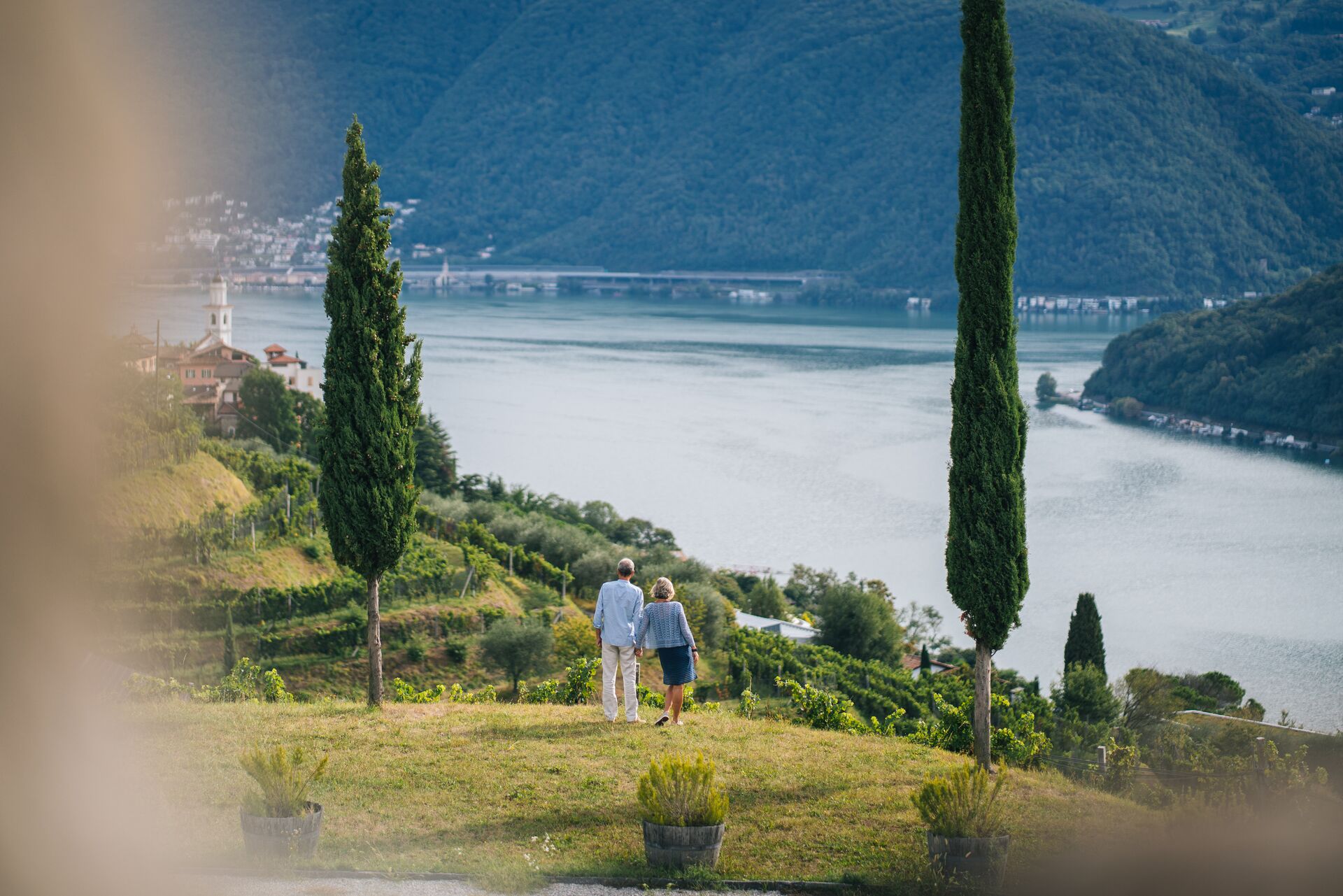Mature Couple Walk Through Vineyard In The Morning