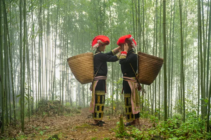 Two women dressed in traditional clothing in a bamboo forest