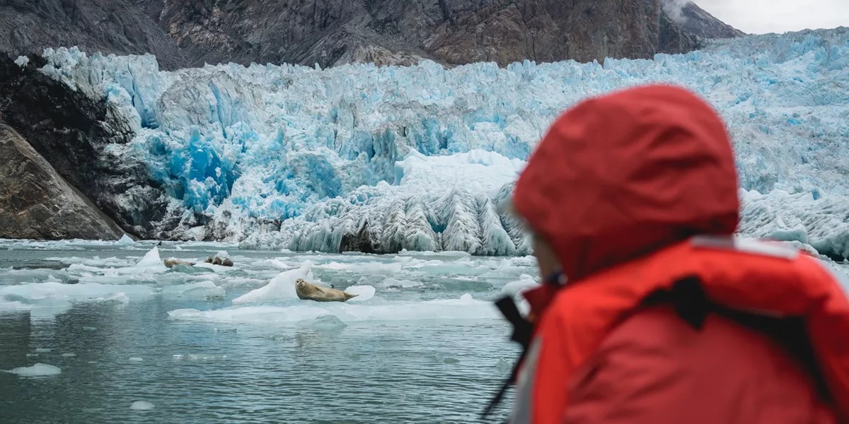 A person in a red jacket looking at a glacier 